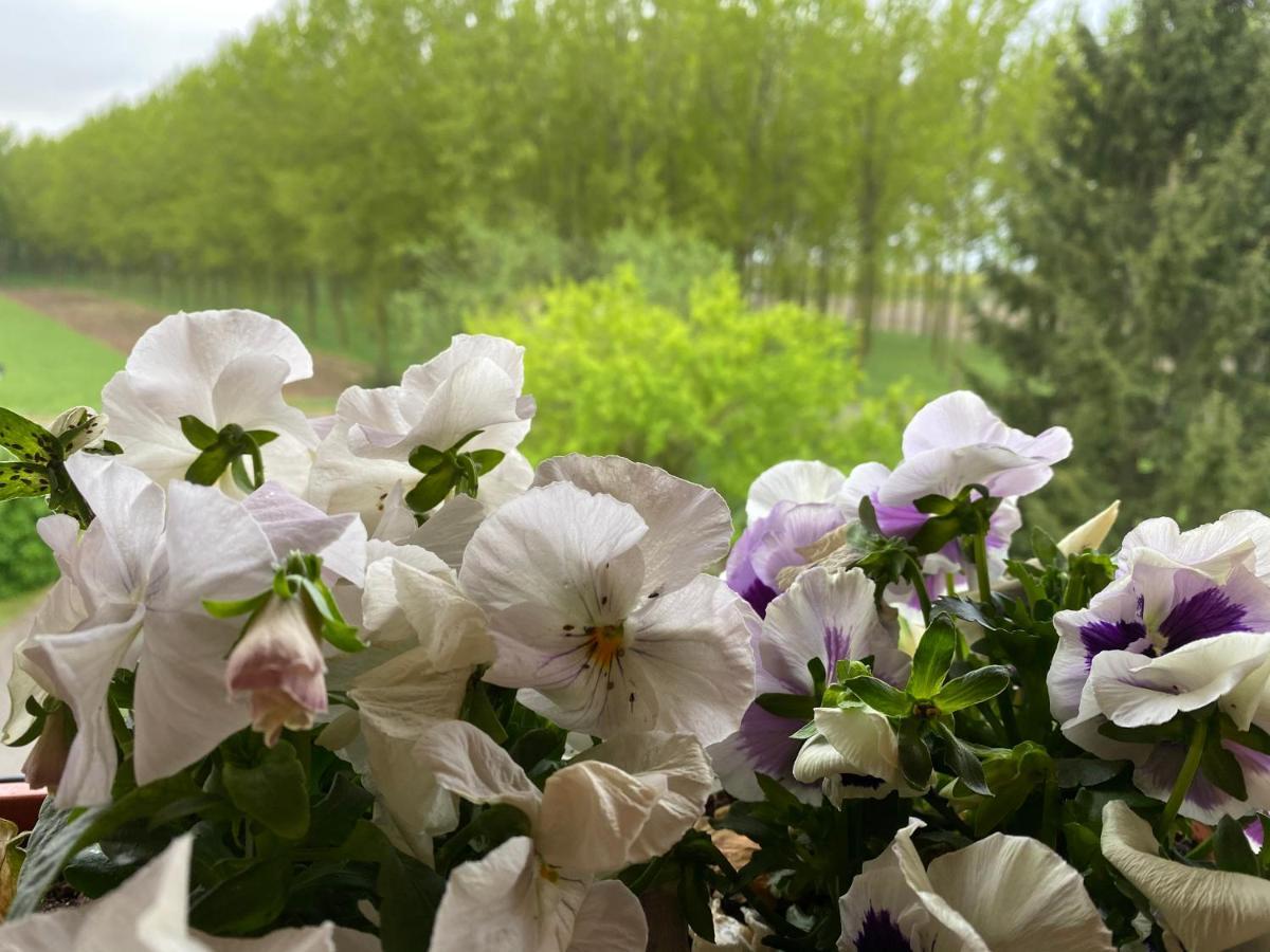 B&B Happiness In The Country Брешелло Экстерьер фото